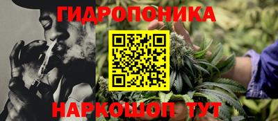 тгк Дмитров