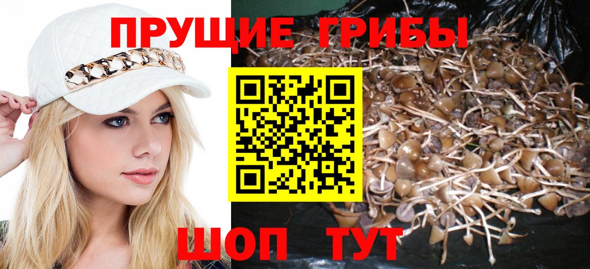 Галлюциногенные грибы Cubensis Дзержинский